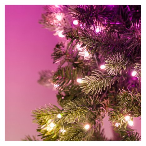Twinkly Pre-lit Wreath Smart LED 50 RGBW (Multicolor + White) Twinkly | Pre-lit Wreath Smart LED 50 | RGBW - 16M+ colors + Warm - 3